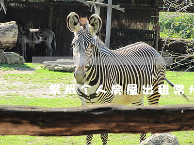 常州个人房屋出租(常州二手房出租)