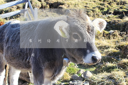 常州信用卡逾期修復(fù)費(fèi)用