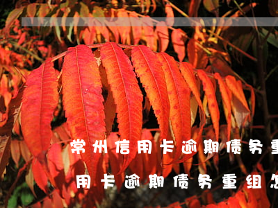 常州信用卡逾期债务重组怎么协商-常州信用卡逾期债务重组怎么协商还款