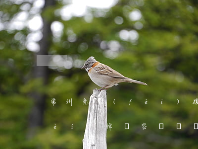 常州免費(fèi)援助律師(常州免費(fèi)律師咨詢電話號(hào)碼)