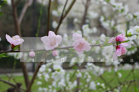 常州免費法律援助(常熟法律援助咨詢熱線)