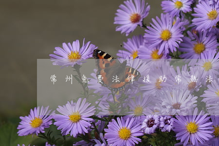 常州免费法律援助(常熟法律援助咨询热线)
