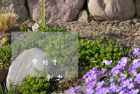 常州十級傷殘一共賠多少(江蘇常州工傷九級賠多少錢)