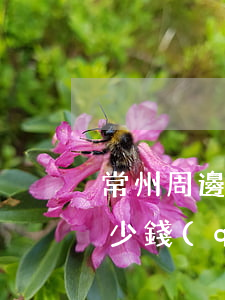 常州周邊子女撫養(yǎng)糾紛律師多少錢(qián)(常州周邊子女撫養(yǎng)糾紛律師多少錢(qián))