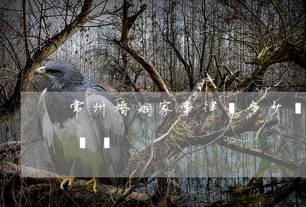 常州婚姻家事律師多少錢(常州離婚律師咨詢電話)