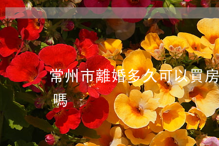 常州市離婚多久可以買房(常州離婚需要預約嗎)