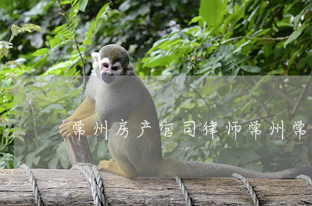 常州房产官司律师(常州常华律师事务所)