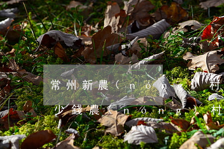 常州新農(nóng)村拆房補償一平方多少錢(農(nóng)村拆舊房補貼多少錢一平方)