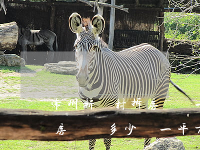 常州新農村拆房補償一平方多少錢(農村拆舊房補貼多少錢一平方)