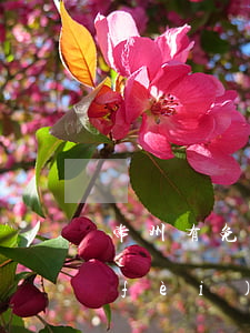 常州有免費(fèi)律師嗎?(常州律師費(fèi)收費(fèi)標(biāo)準(zhǔn))