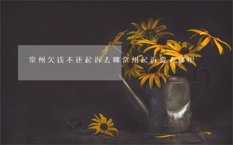 常州欠钱不还起诉去哪(常州起诉要去哪里)