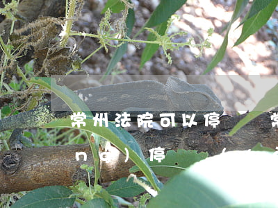 常州法院可以停車嗎(常州北停車場(chǎng)停車費(fèi))