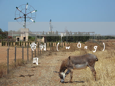 常州網(wǎng)貸逾期修復(fù)公司