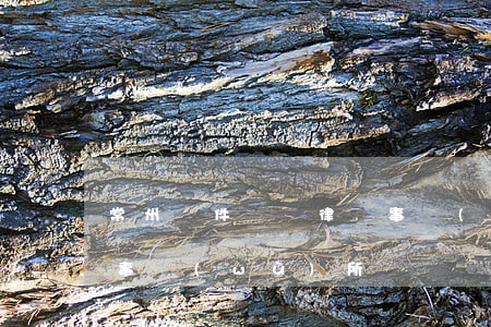 常州軟件糾紛律師事務(wù)所(常山律師事務(wù)所)