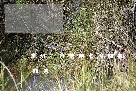 常州銀行信用卡逾期名單(常州銀行信用卡逾期名單)