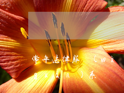 常年法律服務(wù)是勞務(wù)關(guān)系嗎