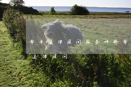 常年法律顾问服务评价(常年法律顾问和专项法律顾问)