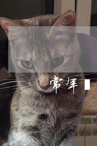 常年財稅顧問協(xié)議書