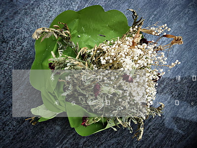 常德辯護(hù)律師怎么收費(常德律師費用收取標(biāo)準(zhǔn))