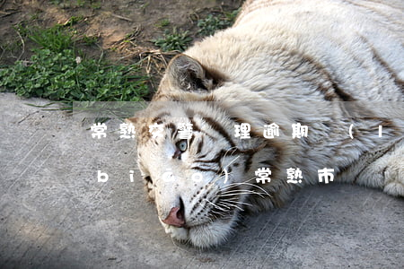 常熟交警處理逾期領(lǐng)電子標(biāo)(常熟市車輛違章處理地址)