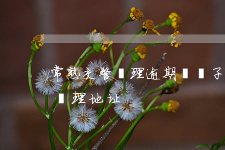 常熟交警處理逾期領電子標(常熟市車輛違章處理地址)