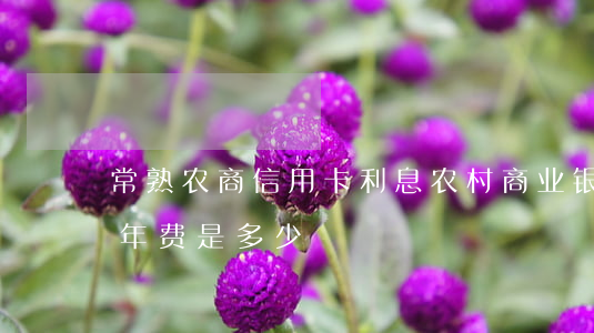 常熟农商信用卡利息(农村商业银行的信用卡年费是多少)