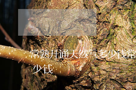常熟开通天然气多少钱(常熟开通天然气要多少钱)