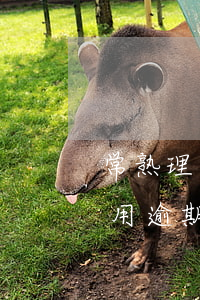 常熟理工學(xué)院重修費(fèi)用逾期未繳-常熟理工學(xué)院重修費(fèi)什么時(shí)候扣