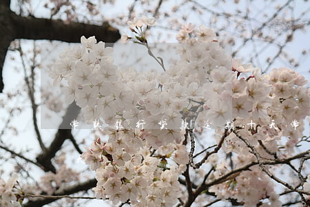 常熟银行贷款逾期十天(常熟银行贷款逾期十天)