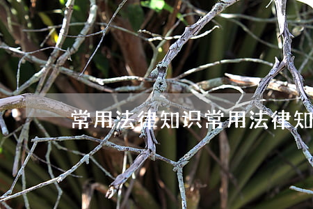 常用法律知识(常用法律知识1000问)