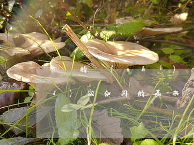 常見的實(shí)踐合同有哪些內(nèi)容（合同的基本內(nèi)容有哪些）