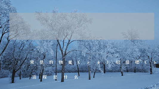 常見的物業(yè)招投標(biāo)的流程是什么
