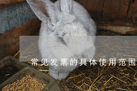 常见发票的具体使用范围有哪些