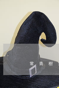 常青樹貸款逾期幾天