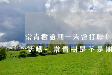 常青樹逾期一天會打聯(lián)系人電話嗎-常青樹是不是崩盤了