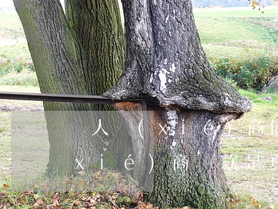 幫人協(xié)商信用卡違法嗎(幫人協(xié)商還款是真的嗎)