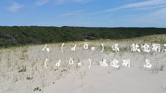 幫人擔(dān)保還款逾期了(為他人貸款擔(dān)保逾期會怎樣)