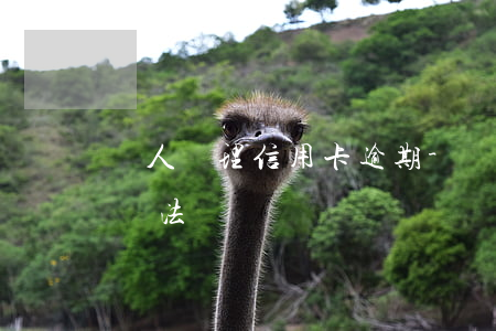 幫人處理信用卡逾期-幫人處理信用卡逾期違法嗎