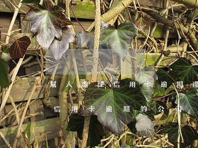 幫人處理信用卡逾期違法嗎(有沒有專門處理信用卡逾期的公司)