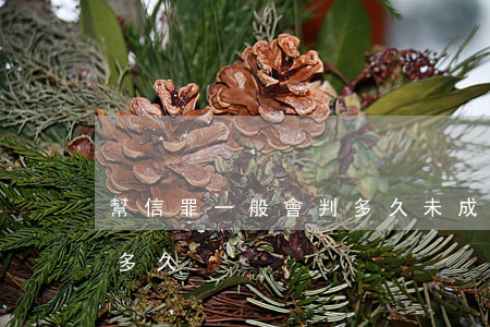 幫信罪一般會判多久(未成年幫信罪一般會判多久)