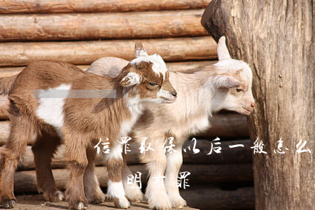 幫信罪取保以后一般怎么判有案例嗎(取保候審說明有罪嗎)
