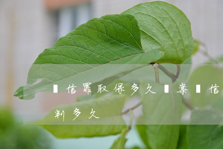幫信罪取保多久結案(幫信罪獲利800元會判多久)