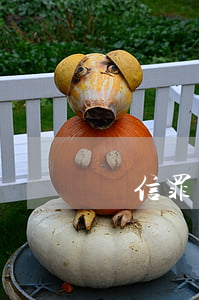 幫信罪可以緩刑嗎(幫信罪可以緩刑嗎,全部退贓)