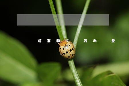 幫信罪和洗錢罪哪個重(幫信罪定義)