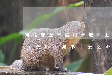 幫信罪坐牢信用卡還不上怎么辦-幫信罪坐牢信用卡還不上怎么辦呢