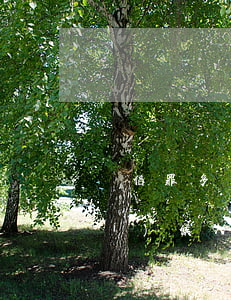 幫信罪多少錢就能判刑(幫信罪什么時(shí)候入刑)
