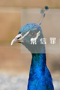 幫信罪拘多少天