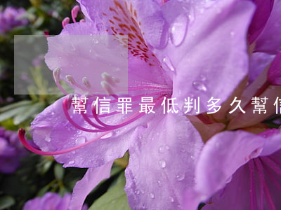 幫信罪最低判多久(幫信罪罰多少款)