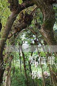 幫信罪最新判刑案例(江蘇幫信罪最新判刑案例)
