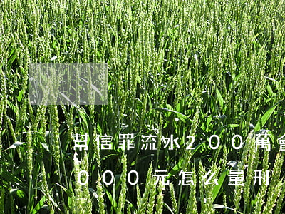 幫信罪流水200萬會判多久(幫信罪獲利1000元怎么量刑)